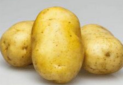 馬鈴薯