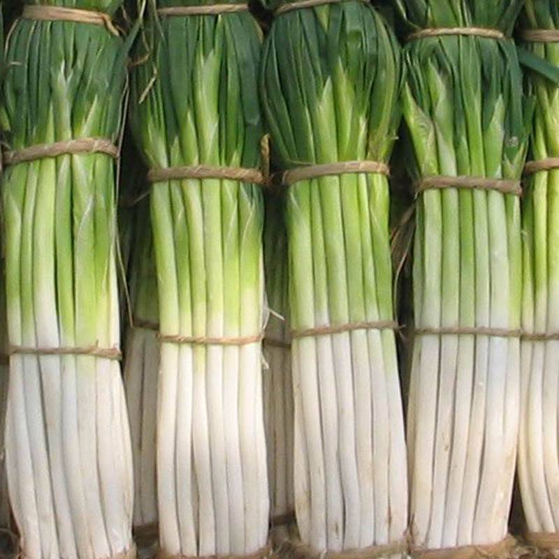 所有企業(yè)員工都愿意為學(xué)生食堂承包加班